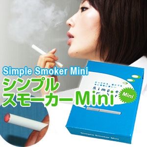ŻҥХ Simple Smoker Miniʥץ륹⡼ߥˡ˾ʲ